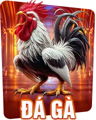 Đá gà Au88